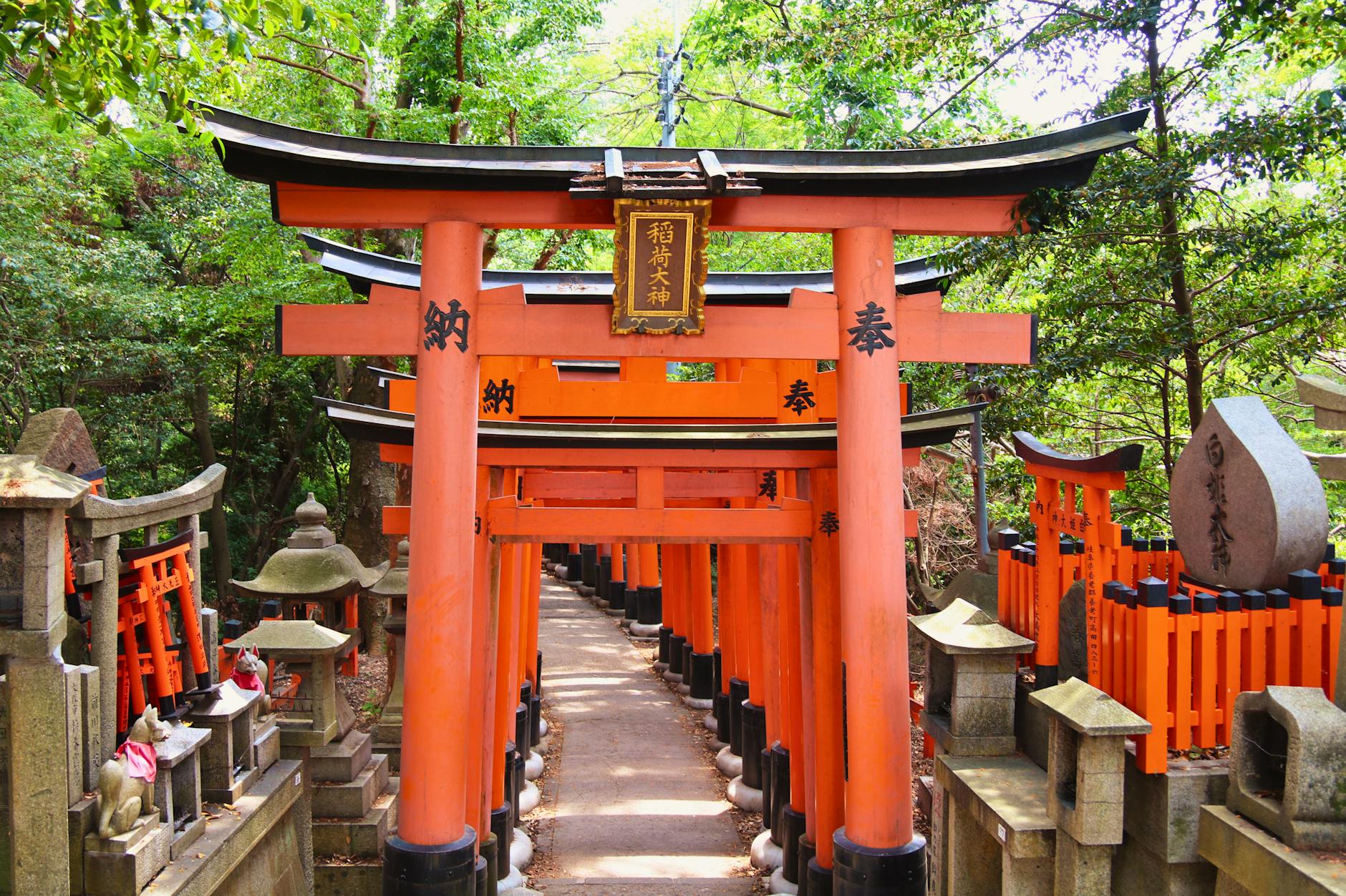 Czerwone bramy torii przy ścieżce do świątyni Fushimi Inari w Kioto