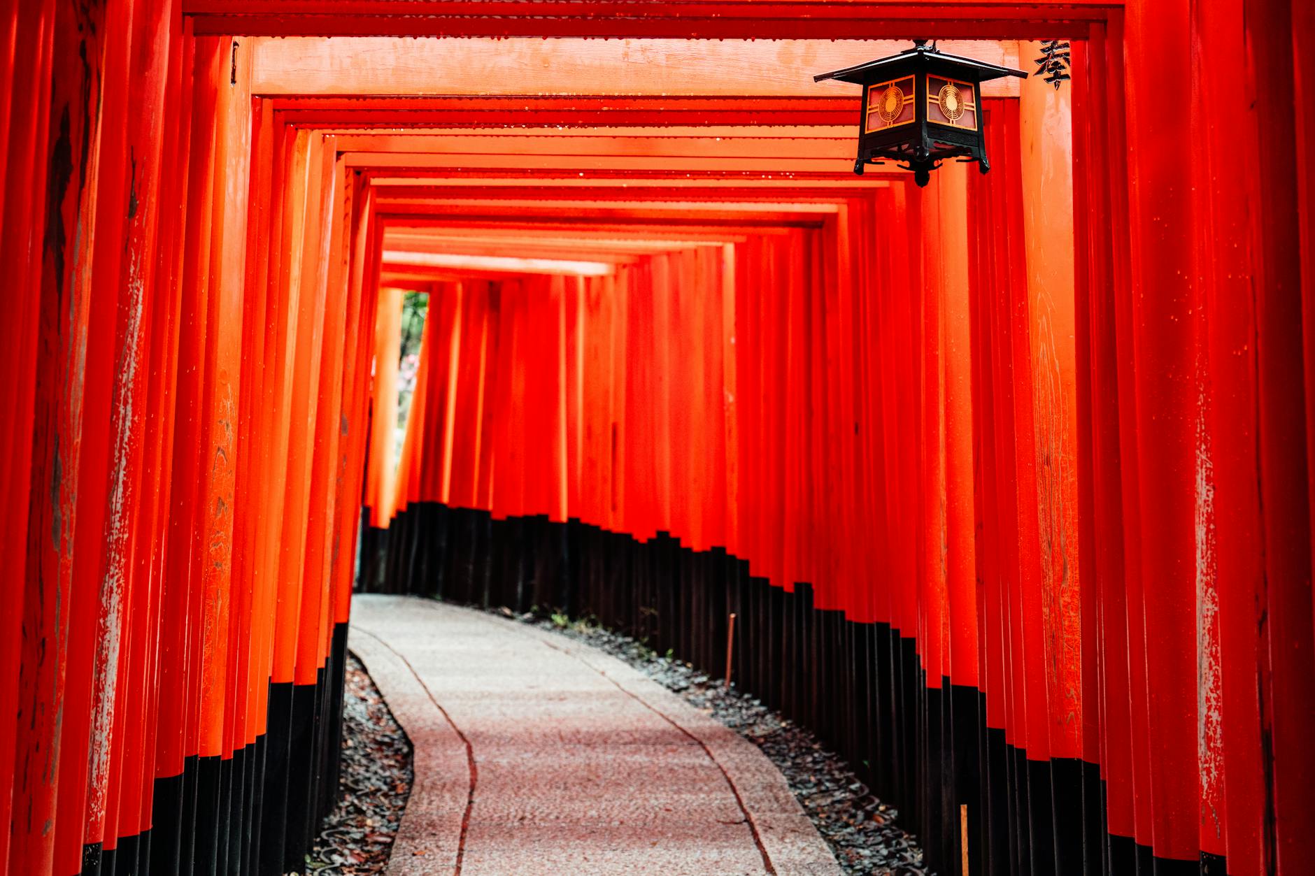 Czerwone bramy torii przy ścieżce w świątyni Fushimi Inari w Kioto
