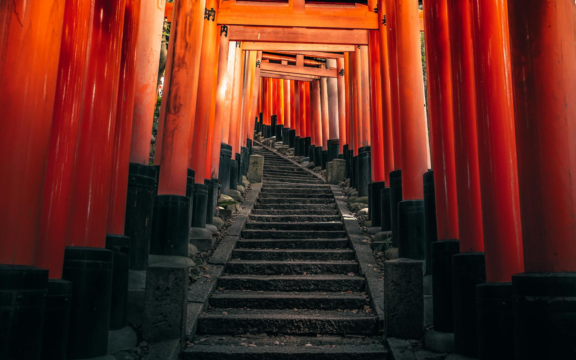 Czerwone bramy torii tworzą tunel na szlaku Fushimi Inari w Kioto